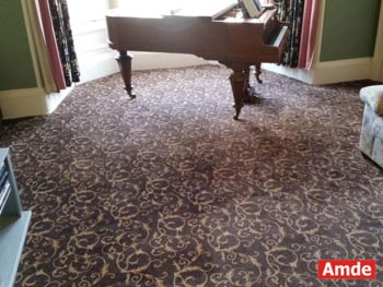 living room carpet cleaning 