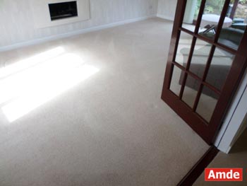 standard size carpet cleaning South Queensferry
