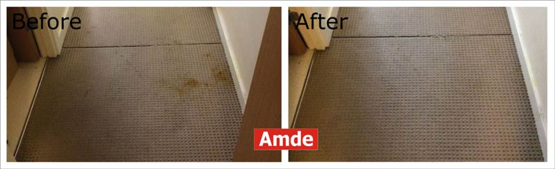 in bedroom carpet cleaning services - stain and smell removed